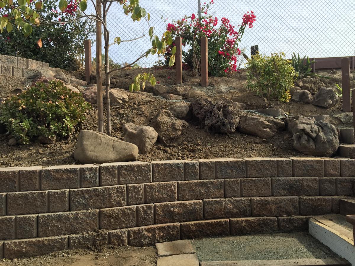 Before Landscaping